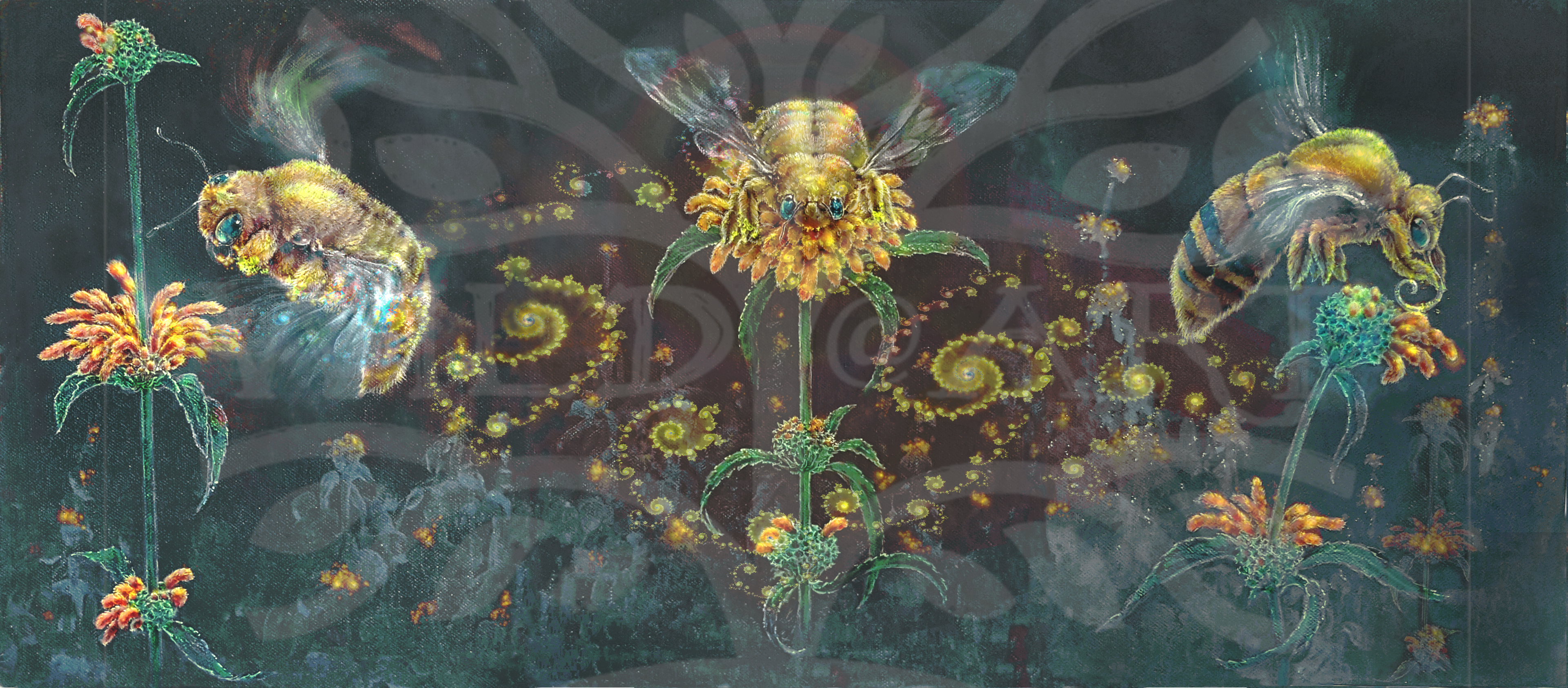 Carpenter Bees and Wilde Dagga