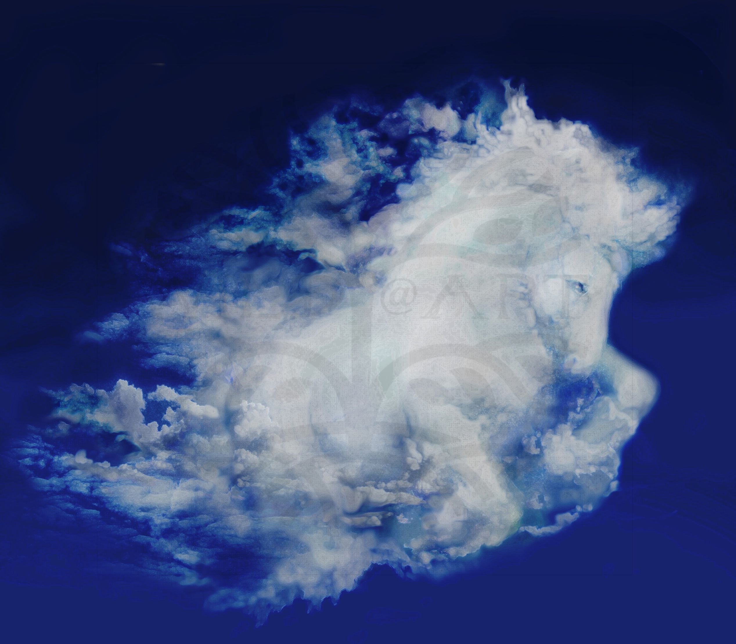 Cloud Horse